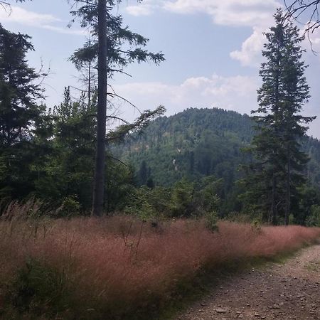 Pod Klimczokiem I Bed and Breakfast Szczyrk Εξωτερικό φωτογραφία