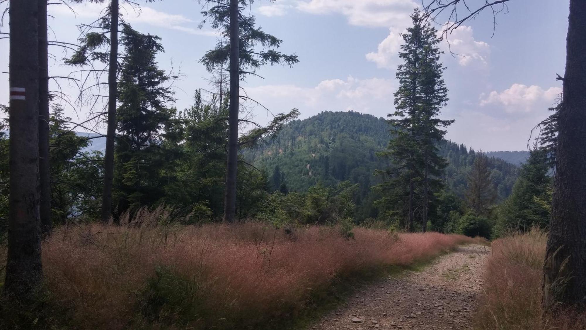 Pod Klimczokiem I Bed and Breakfast Szczyrk Εξωτερικό φωτογραφία