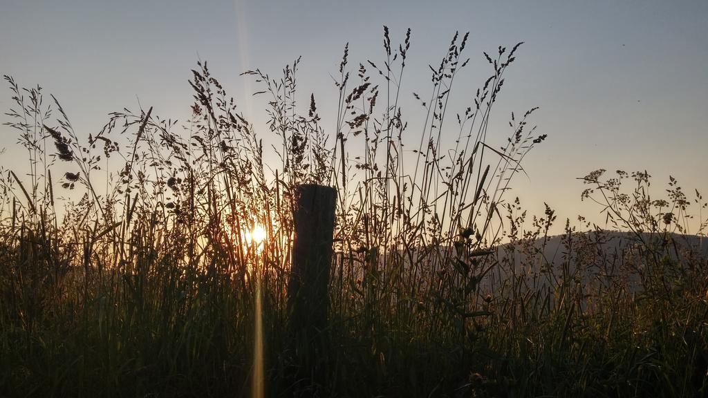 Pod Klimczokiem I Bed and Breakfast Szczyrk Εξωτερικό φωτογραφία