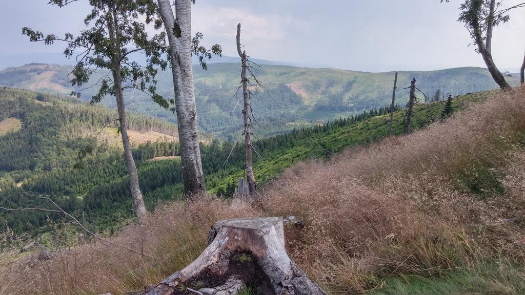 Pod Klimczokiem I Bed and Breakfast Szczyrk Εξωτερικό φωτογραφία