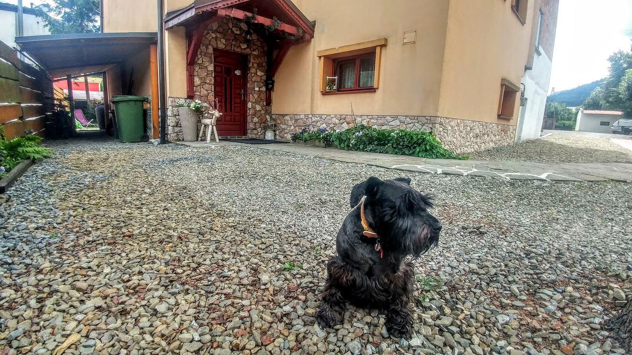 Pod Klimczokiem I Bed and Breakfast Szczyrk Εξωτερικό φωτογραφία